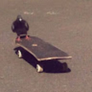 Meet your Posher, Oneburrito